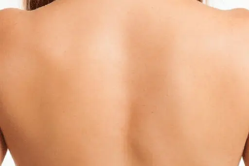 Wax - Upper Back Body Ladies