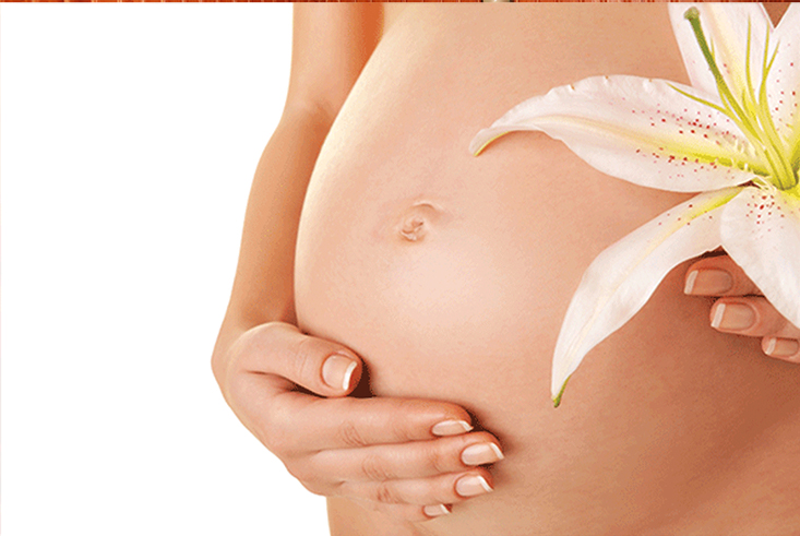 Pregnancy / Pre-Natal Therapy