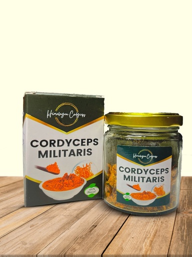 Cordyceps Militaris